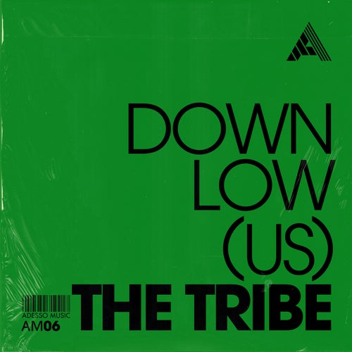 DOWNLow (US) – The Tribe – Extended Mix [AM06]